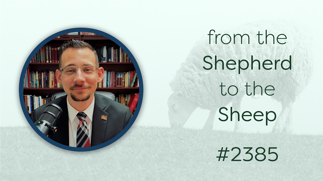 From the Shepherd to the Sheep - #2385 - CBC