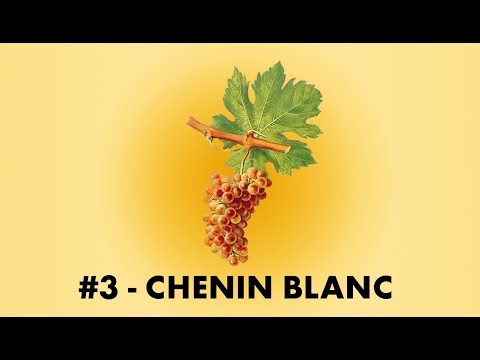 Vidéo: Le vin blanc a-t-il besoin d'être aéré ?