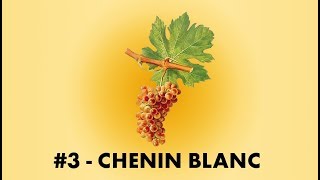 Cépage Sorcier #3 : Le Chenin Blanc | English Sub