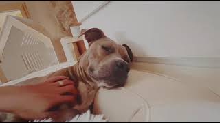 Harold Winter 2026 3