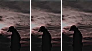 Sanam Re😘Alight motion Xml Preset || #xmlpreset #alightmotionedit Tech Editing BD screenshot 1