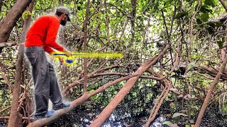 Strange Fish Caught In Hidden Jungle Pond