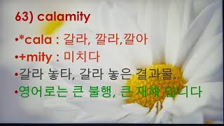 영어  훈민정음  63) calamity