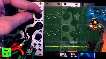 Animodule SOB filter VCF VCA WaveFolder Eurorack analog modular module synthesizer