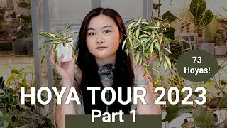 Hoya Tour 2023 (Part 1)