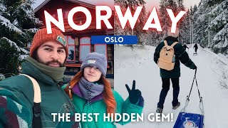 We found Oslo’s BEST hidden gem! A pure winter wonderland in Norway ❄