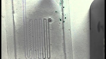 Microfluidics in PDMS