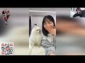 Приколи 2023 часть 2