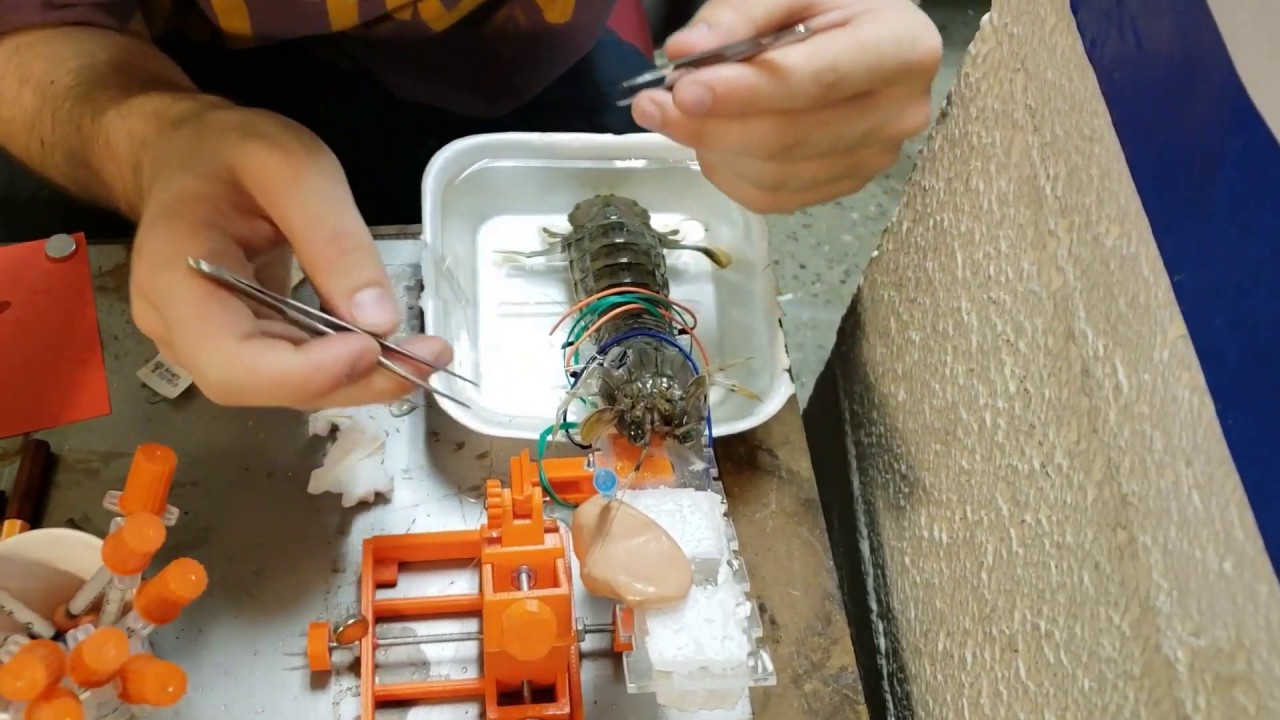 Mantis Shrimp Punch Experimentation Process