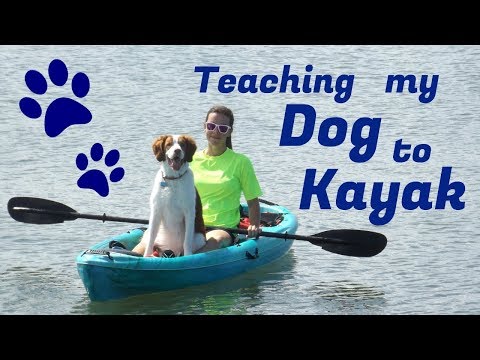 Teaching my dog to kayak!