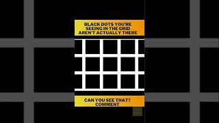 The Hermann Grid How It Works And Why Its So Useful, Opticall Illusion