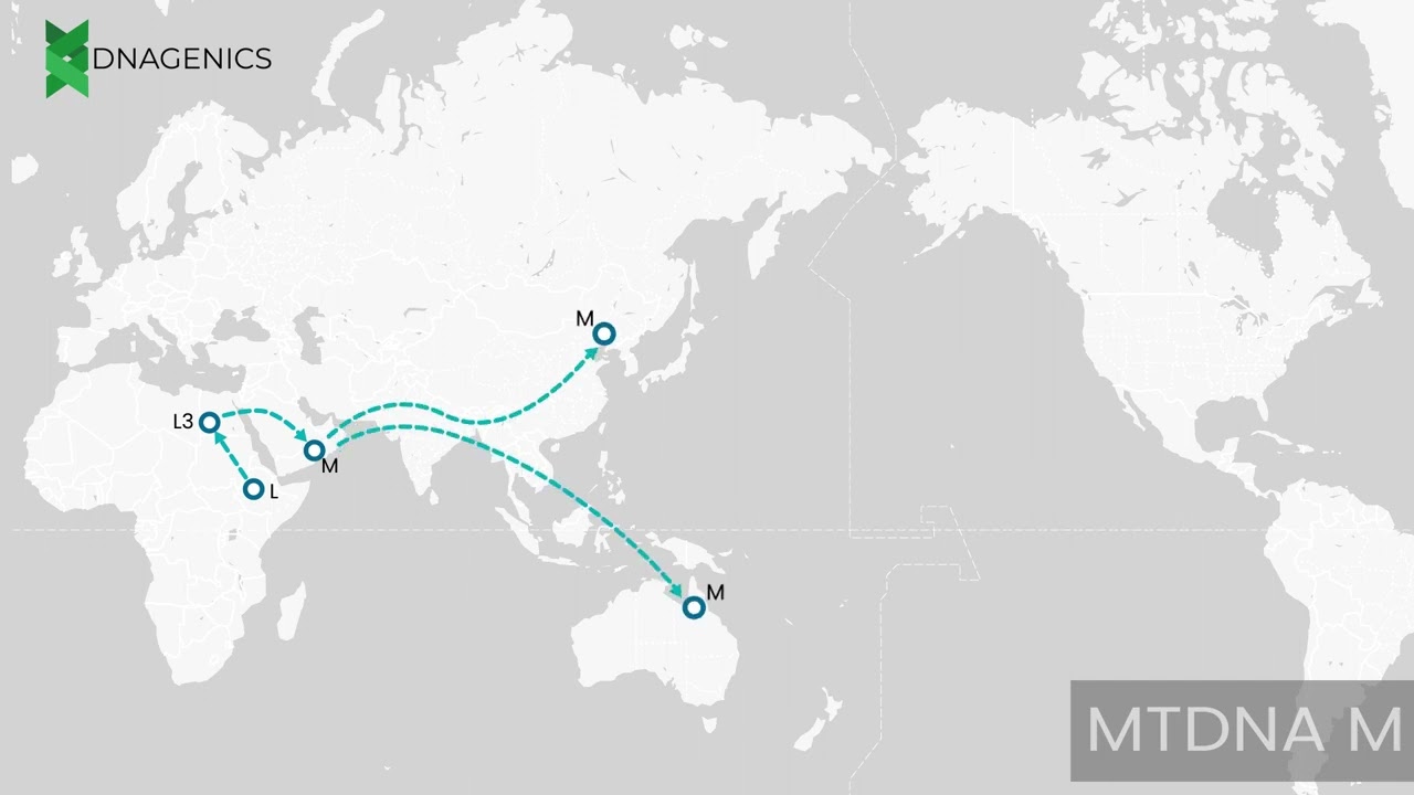 MTDNA M - DNAGENICS