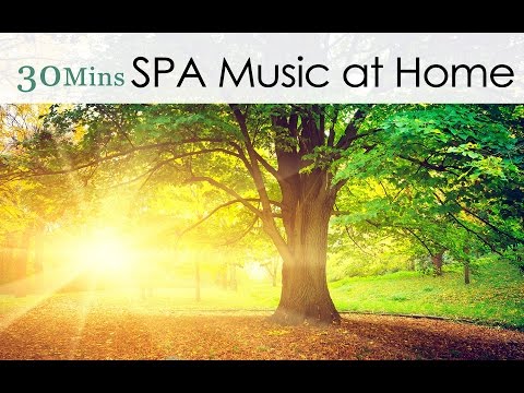 ★30 Mins★ SPA Music at Home - Breath of the Forest (Relaxation Instrumental Piano Music)