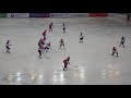 Россия Норвегия  Чемпионат мира по хоккею с мячом