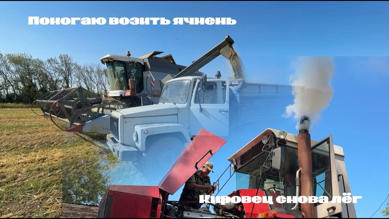 Кировец снова лёг... Помогаем возить зерно на Газоне