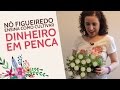 Nô Figueiredo Ensina Como Cultivar Dinheiro em Penca