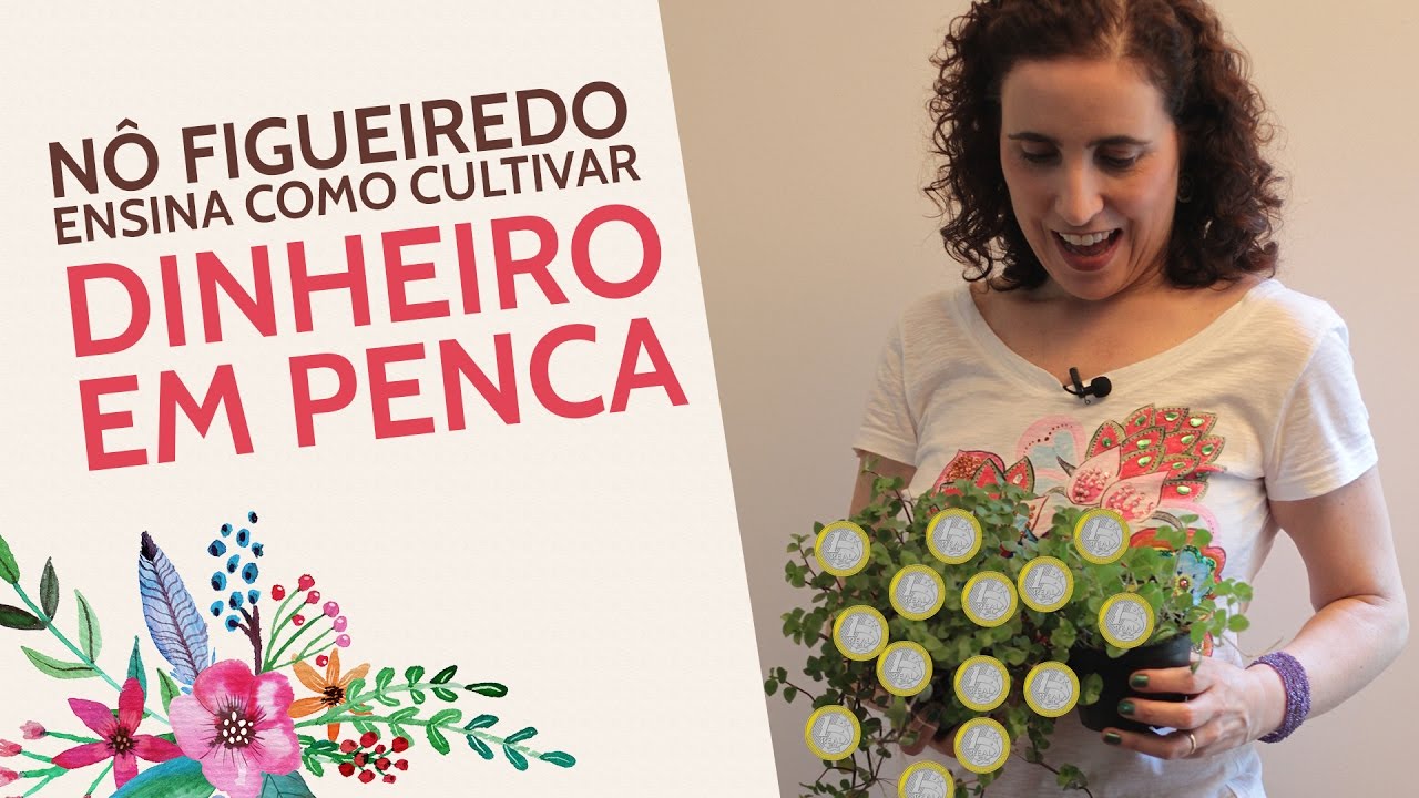 Nô Figueiredo Ensina Como Cultivar Dinheiro em Penca