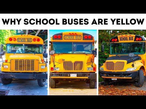 Videó: Miért van sárga az iskolabuszok és miért nem rendelkeznek rendszerint biztonsági övvel?