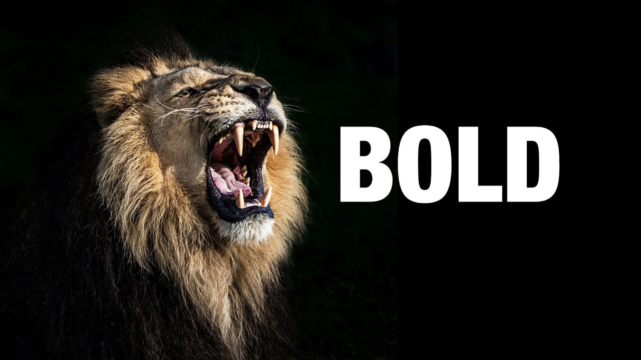 Bold Big Sunday july
