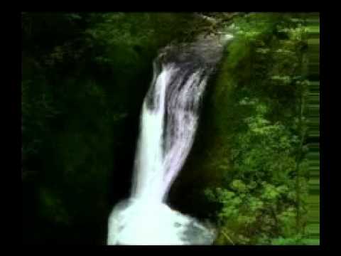 أجمل تلاوة لسورة غافر الشيخ عبدالله كامل  أجمل تلاوة لسورة غافر الشيخ عبدالله كامل