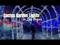 Walk with me at cactus garden lights of love  ethel m botanical cactus garden las vegas