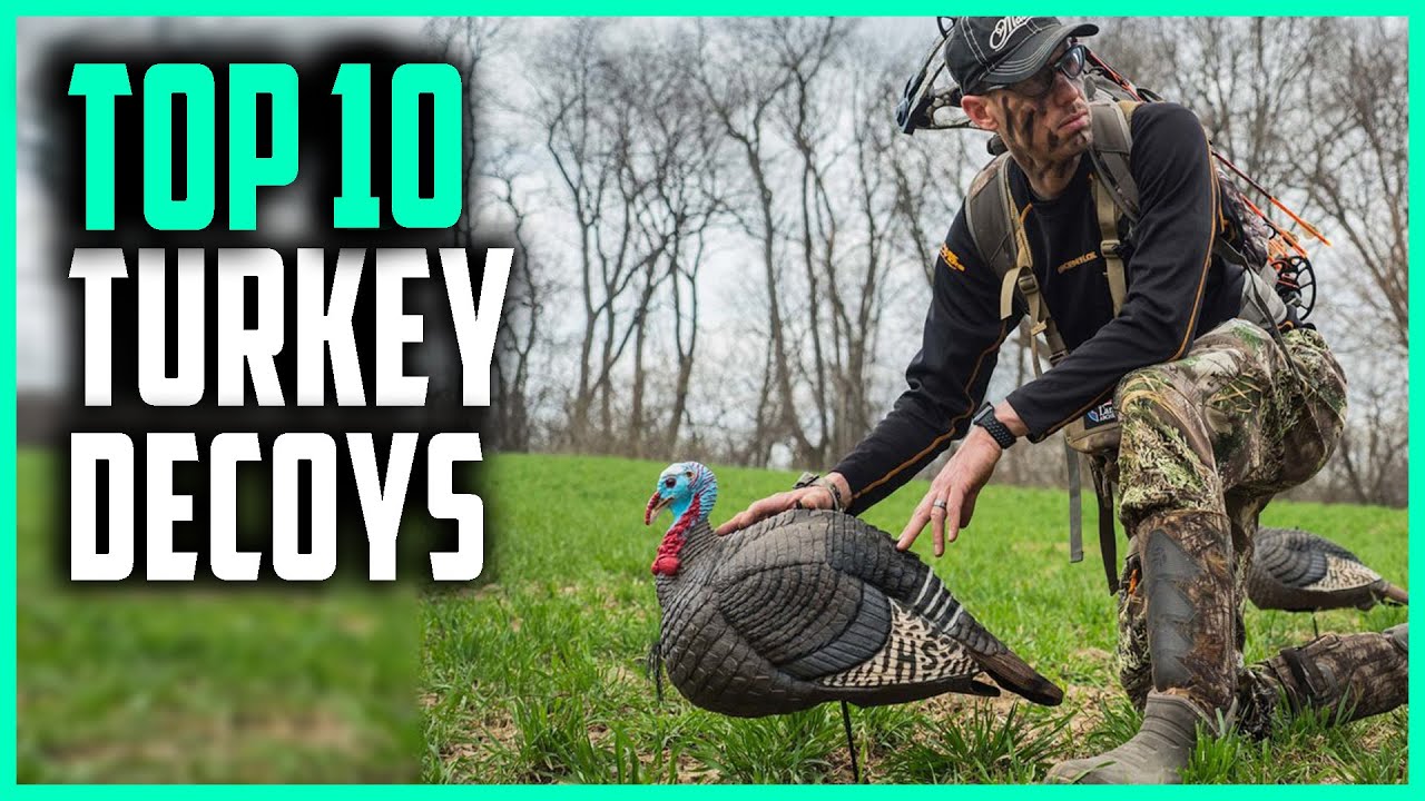Best Turkey Decoy 2024 Top 10 Turkey Decoy for the Money YouTube