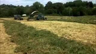 Silage 2011