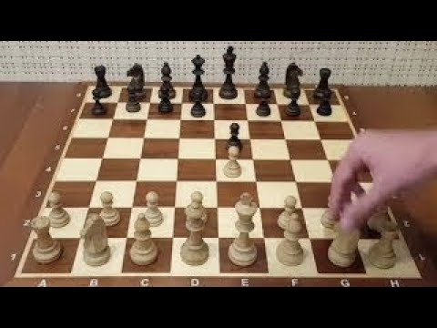 Видео: Этот МАТ признан самым красивым в МИРЕ! Самая наглая ЛОВУШКА в истории шахмат!Шахматы ловушки Шахмат