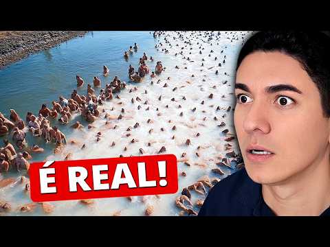 WHAT APPEARED IN THE DEAD SEA HAS LEFT THE WORLD IN SHOCK!