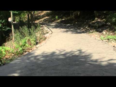 სოფლის მხარდაჭერის პროგრამა ქვედა საზანოს ადმინისტრაციულ ერთეულში