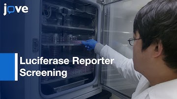 Libraries and Luciferase Reporter Screening to identify TF regulators | Protocol Preview