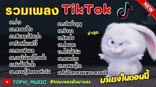 รวมเพลงฮิตในติ๊กต๊อก รวมเพลงในTikTokล่าสุด เพราะๆ 1 ชั่วโมง