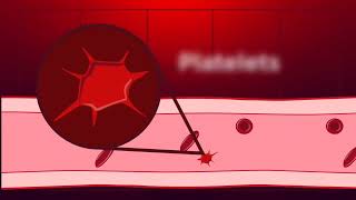 Download Lagu Proses Pembekuan Darah MP3