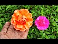 Easy to make beautiful paper flower  paper rose making  sunil creation