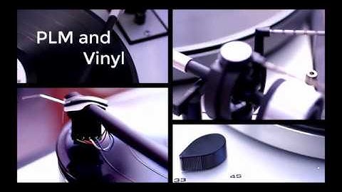 PLM and Vinyl - 6; SAP Document Management System - DMS