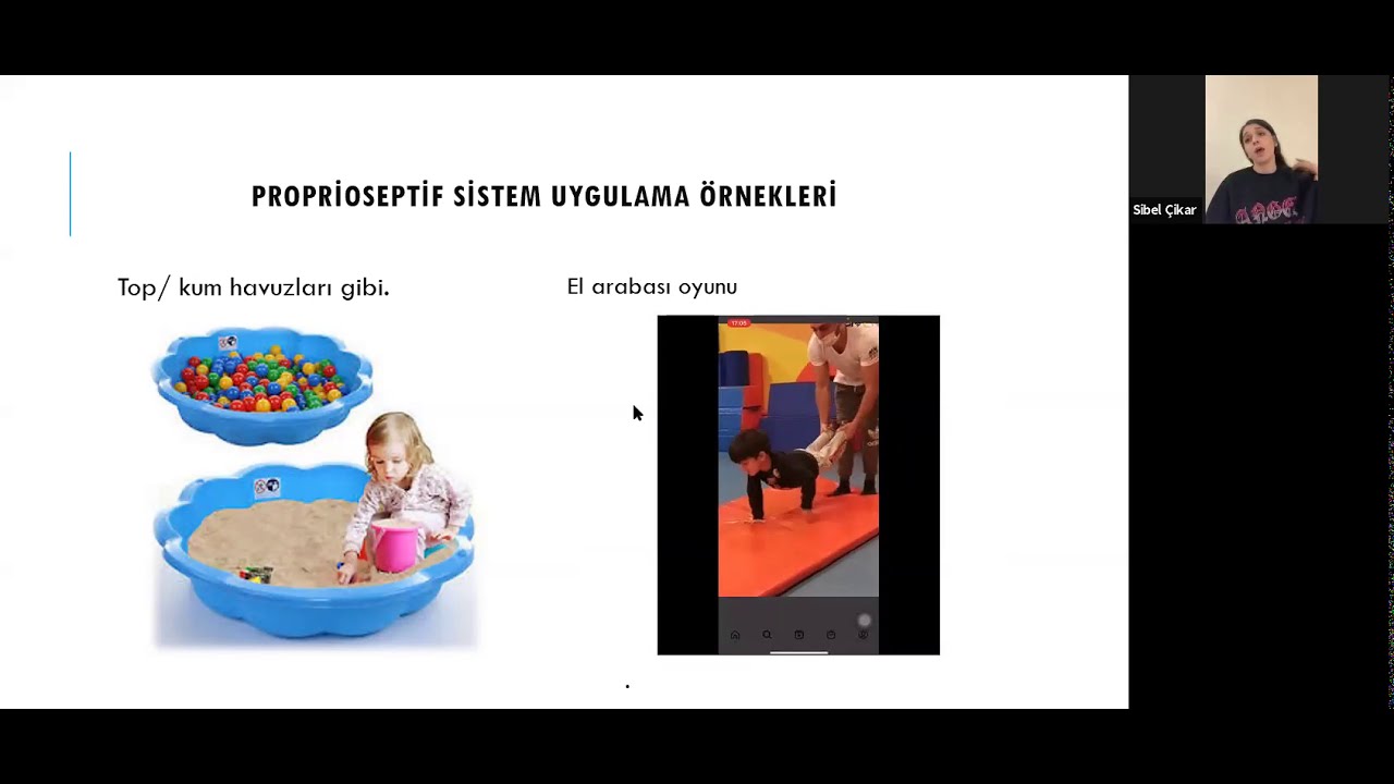 Ergoterapi | Duyu Bütünleme Süreci