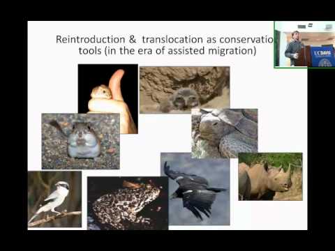 Captive Breeding Reintroductions and Translocations as Tools to Rescue Small Populations