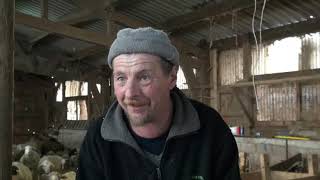 Le retour du loup dans les Vosges . Club Vosgien Vallée de Saint-Amarin