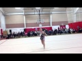 Arlene chen 2014 rhythmic gymnastics michigan meet ball