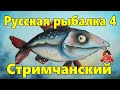 Русская рыбалка 4 Троллинговый Стрим