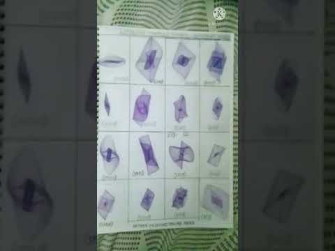 Lissajous figures in