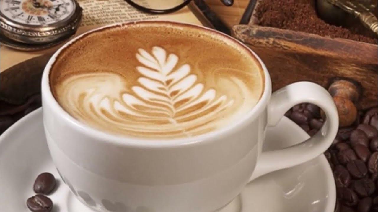 Coffee Machine Breville Bijou Espresso Machine VCF149 review YouTube