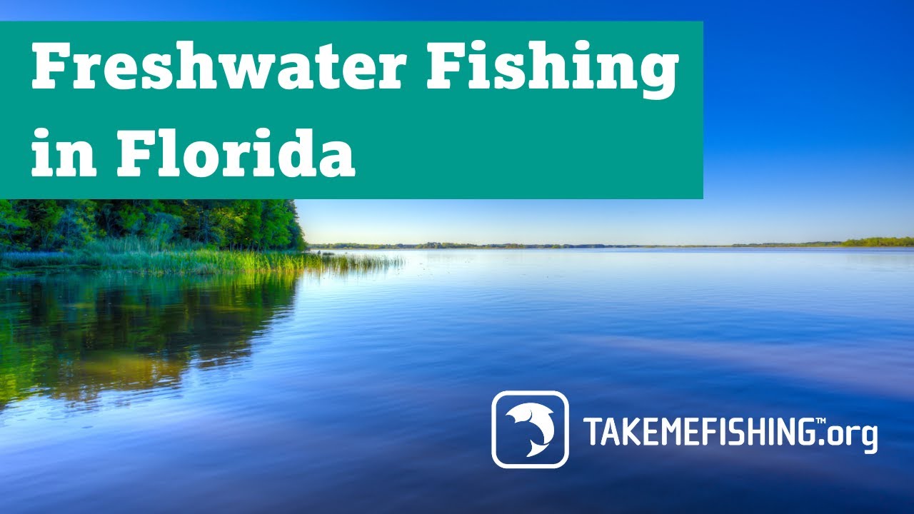 Freshwater Fishing in Florida