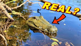 Funny RC Crocodile to Prank Your Friends - Flytec V002 RC Boat - TheRcSaylors