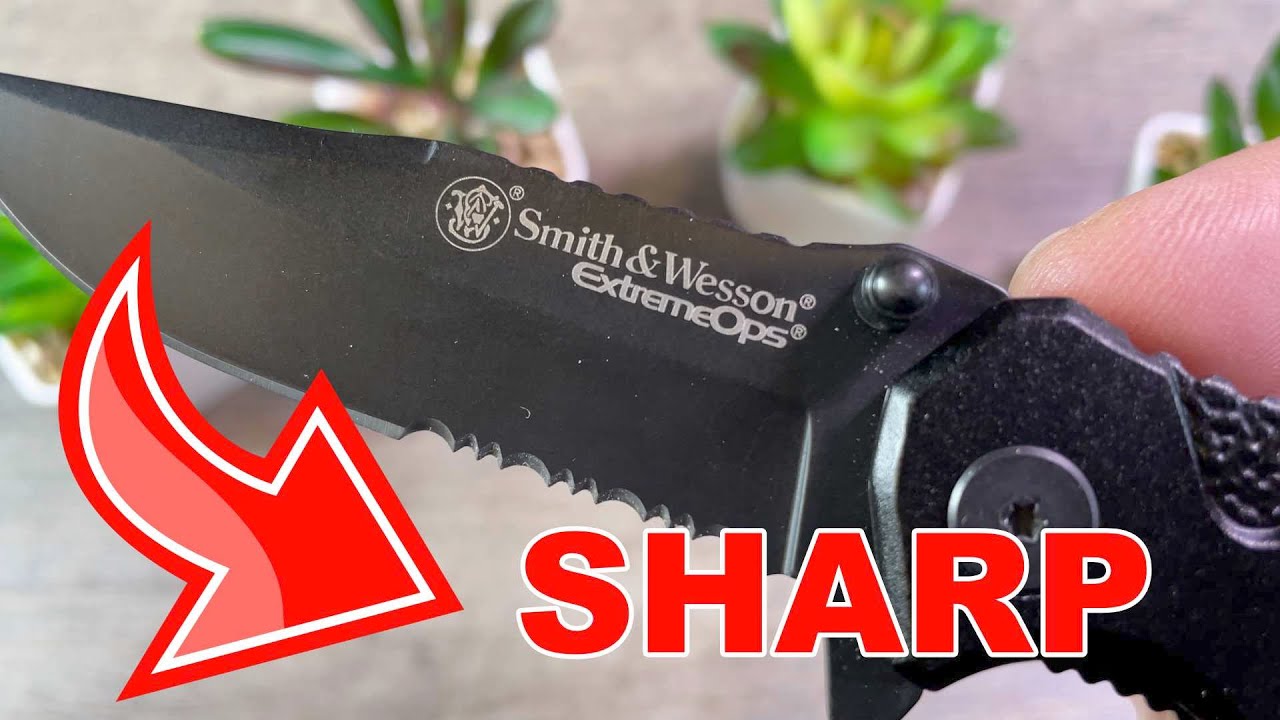 Smith & Wesson Folding Sharpener