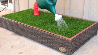 The Porch Potty™ — The Original Grass Litterbox For Dogs