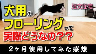 犬用のフローリングは本当に滑らない？！２ヶ月使用してみた結果！