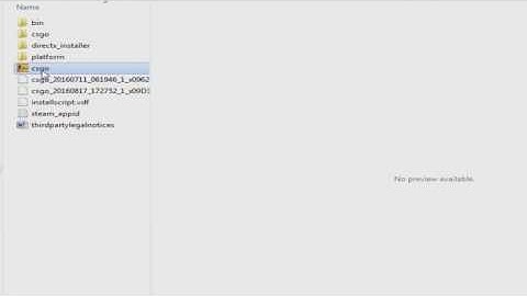 How to play CS:GO "offline mode"