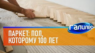 Галилео 🛋 Паркет: Пол, Которому Сто Лет