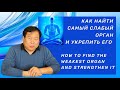 Как найти самый слабый орган и укрепить его. Find weakest organ and strengthen it.